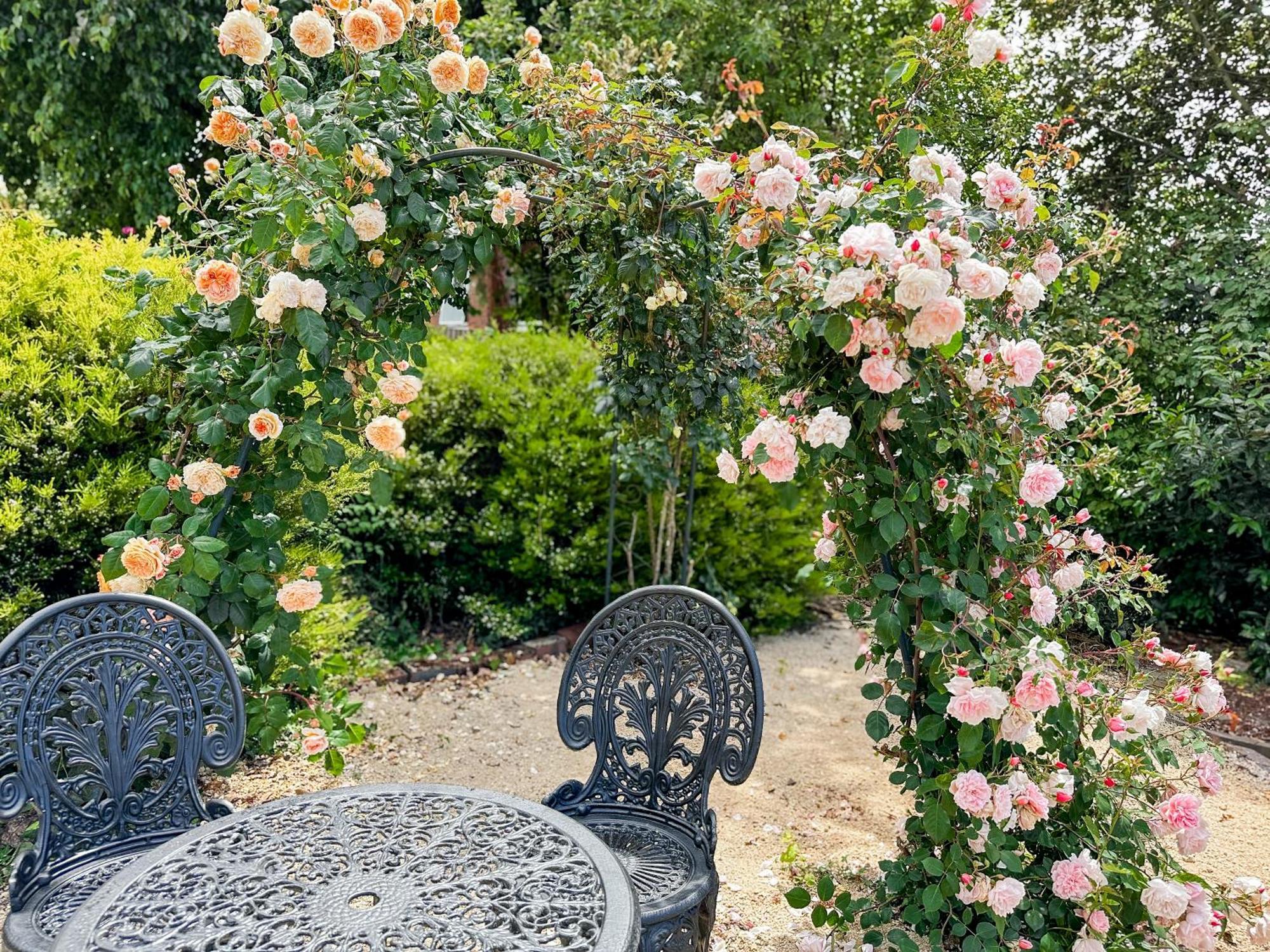 The Dragonfly Inn Launceston Ngoại thất bức ảnh
